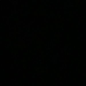 Meet your Posher, King